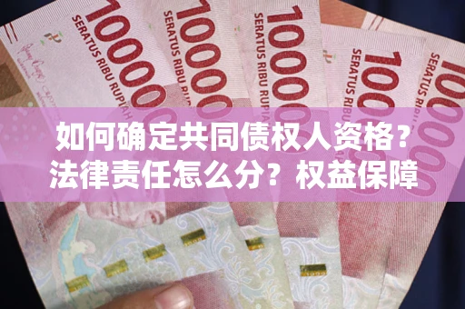 北京如何确定共同债权人资格？法律责任怎么分？权益保障技巧揭秘！