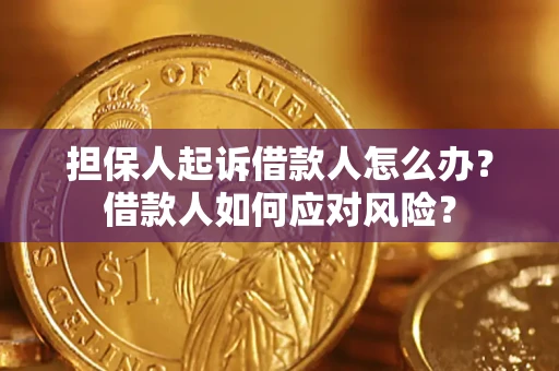 北京担保人起诉借款人怎么办？借款人如何应对风险？